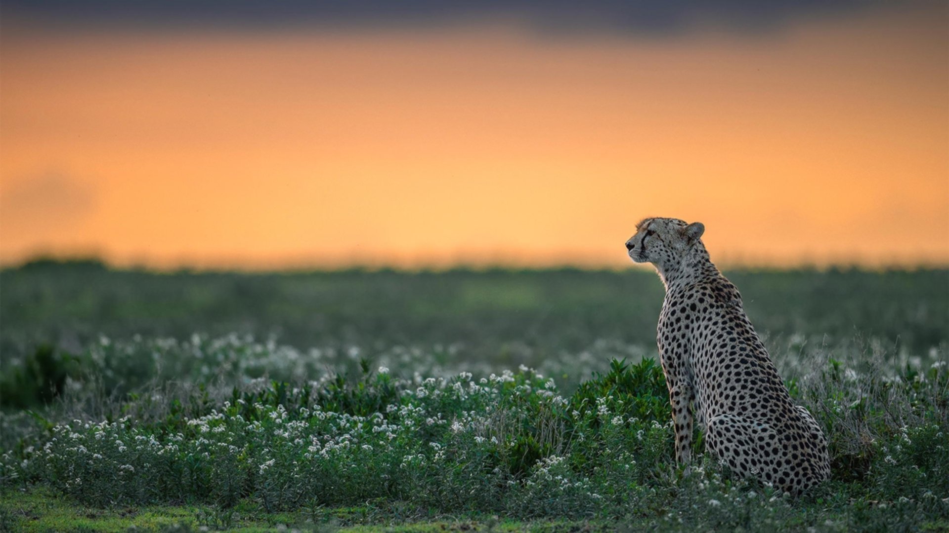 九游jiuyou-《电竞装备评测：助你成为操作高手》，电竞装置